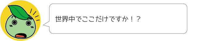 世界中でここだけですか!?